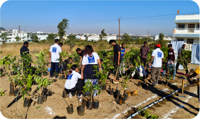 Volunteers arranging saplings before plantation activity 